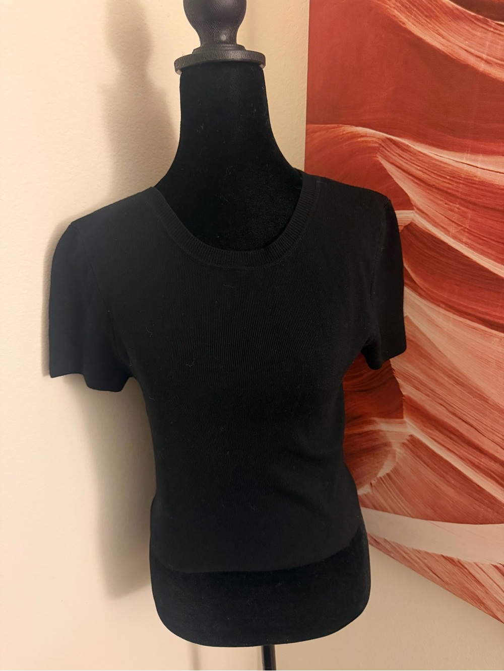 Forever 21 Black Short-Sleeve Ribbed Crewneck Top